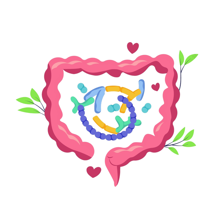 Digestione sana e senza parassiti