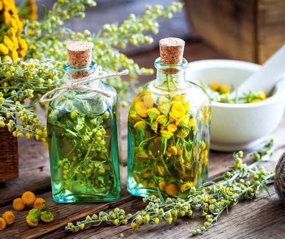 tintura di tanaceto per rimuovere i vermi