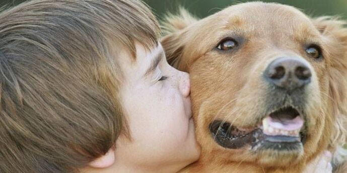 il ragazzo prende i parassiti dal cane